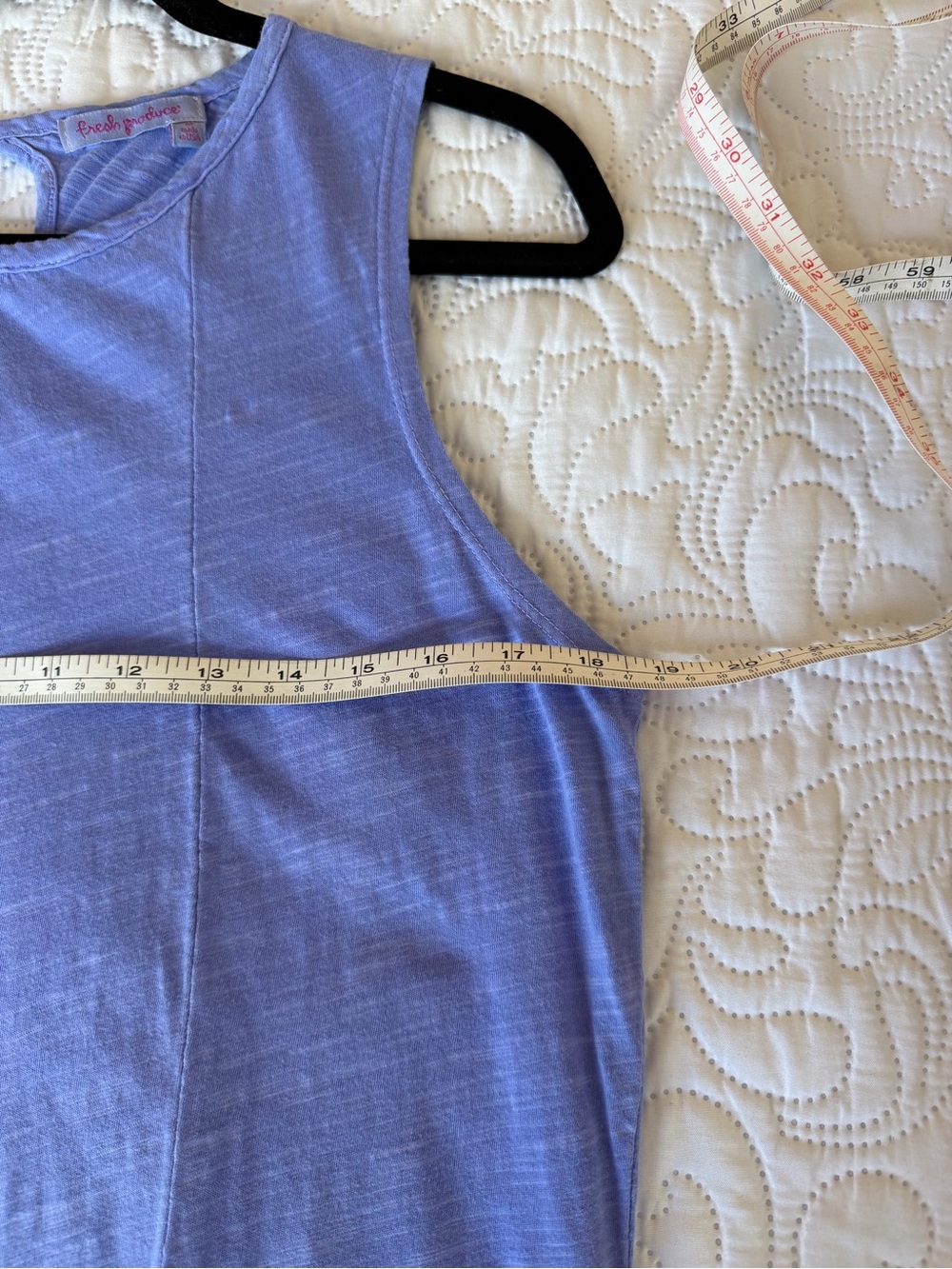 Fresh Produce Blue Sleeveless Swing Dress - Picture 4 of 5